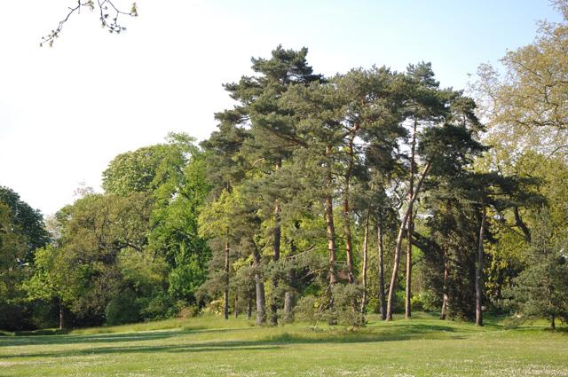 min 2013 05 06 bagatelle 215